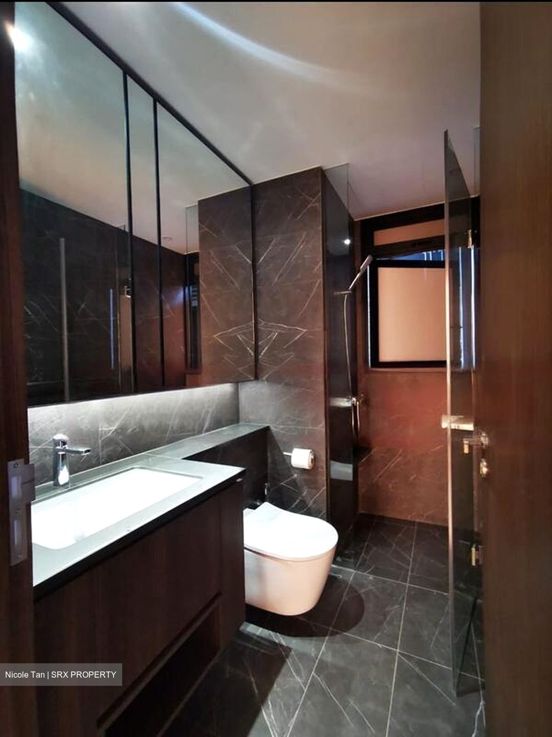 Kopar At Newton (D9), Apartment #456431731